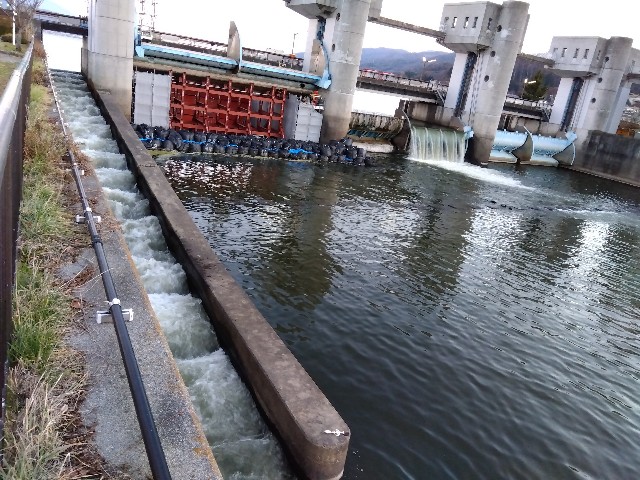 釜口水門、天竜川の始まり