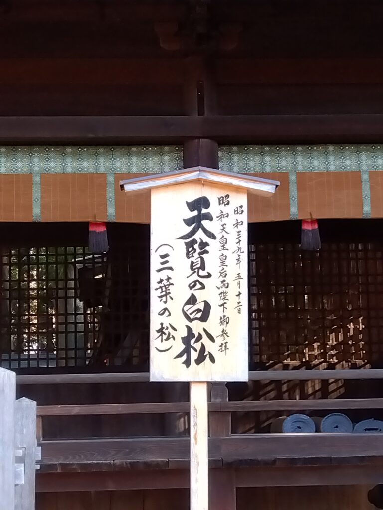 天覧の白松の説明看板