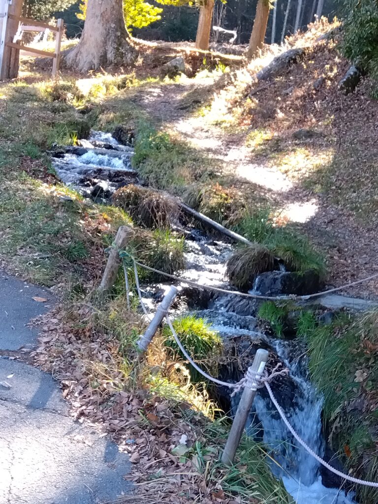 名水「水眼」と云う川の流れ