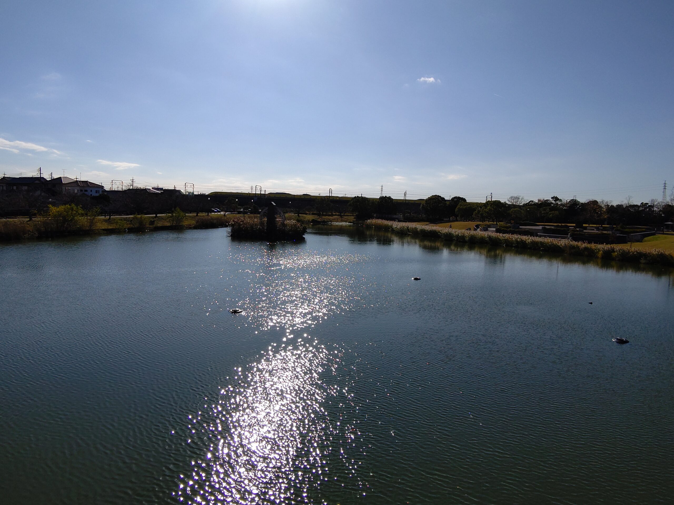 幸公園の池